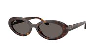 Gafas de sol Ray-Ban Mujer 0RB2223 54 902/B1